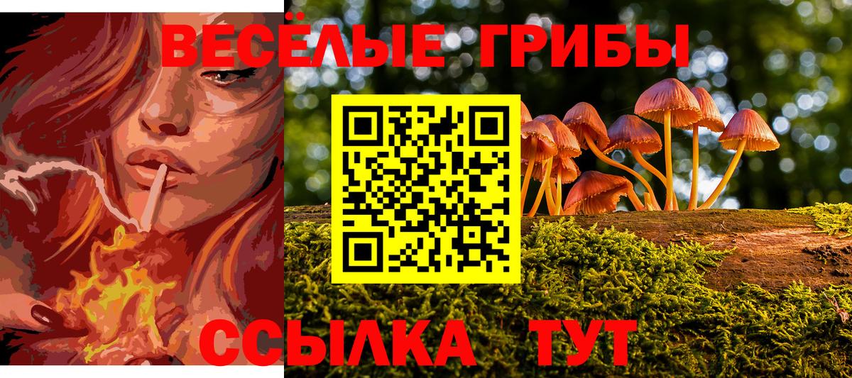 Псилоцибиновые грибы MAGIC MUSHROOMS  Вход с VPN  Тверь  Галлюциногенные грибы Cubensis 