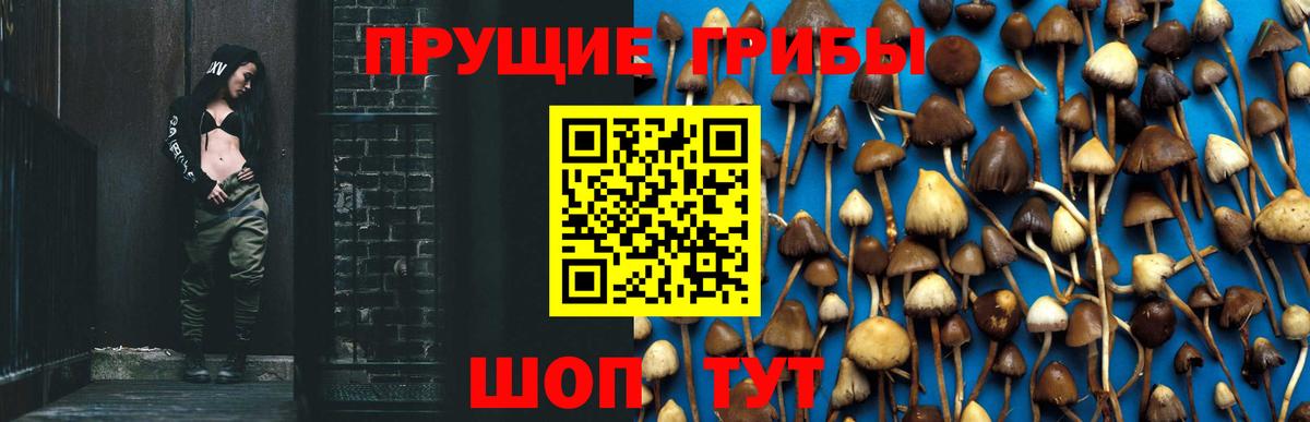 Галлюциногенные грибы MAGIC MUSHROOMS Тверь